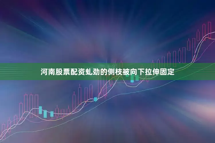 河南股票配资虬劲的侧枝被向下拉伸固定