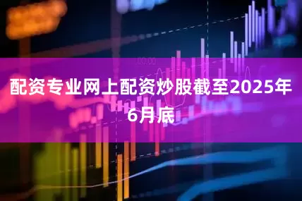 配资专业网上配资炒股截至2025年6月底