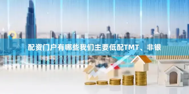 配资门户有哪些我们主要低配TMT、非银