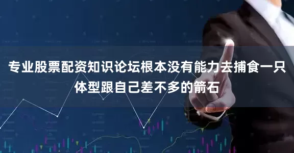 专业股票配资知识论坛根本没有能力去捕食一只体型跟自己差不多的箭石