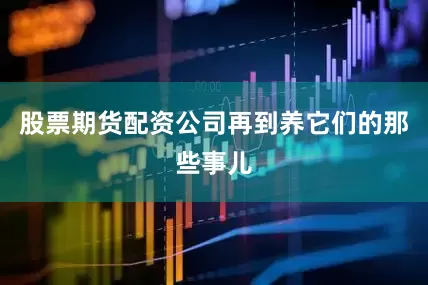 股票期货配资公司再到养它们的那些事儿