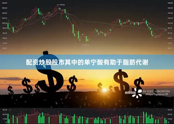 配资炒股股市其中的单宁酸有助于脂肪代谢